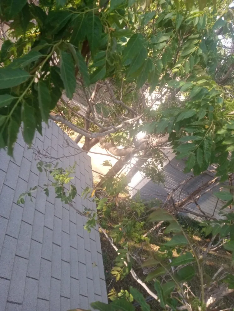 Professional landscaping services for year-round maintenance across Slaton, TX - Spankys Lawn Care & Tree Service