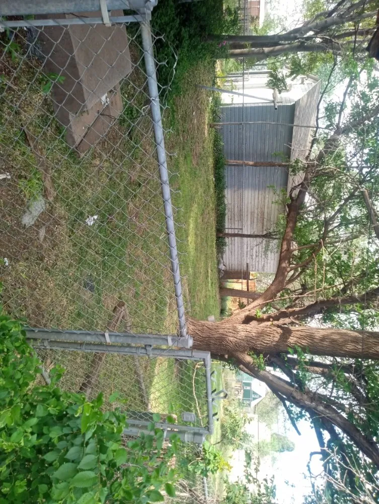 Trusted yard cleanup service for outdoor upgrades in Slaton, TX by Spankys Lawn Care & Tree Service