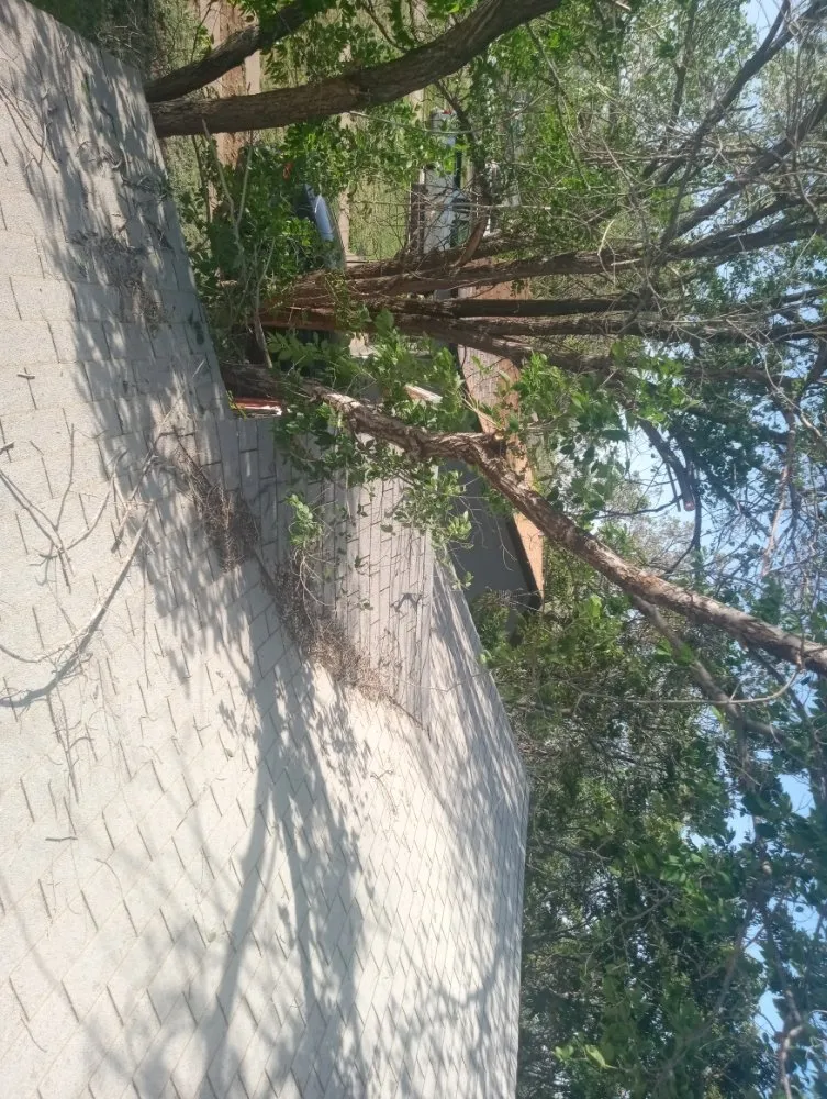 Trusted residential landscaping in Slaton, TX by Spankys Lawn Care & Tree Service