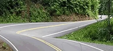 Trusted yard cleanup service in Auburn, NY by Spano Container