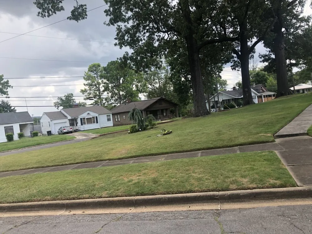 Reliable yard cleanup service with custom design in Birmingham, AL by Spare Prayer Property Services