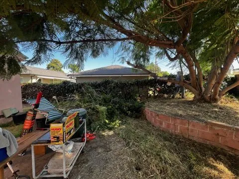 Professional outdoor landscaping for beautiful yards in Stanton, CA by Spark Cleaning