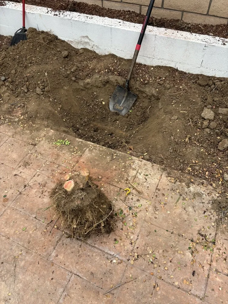 Trusted residential landscaping experts serving Stanton, CA - Spark Cleaning