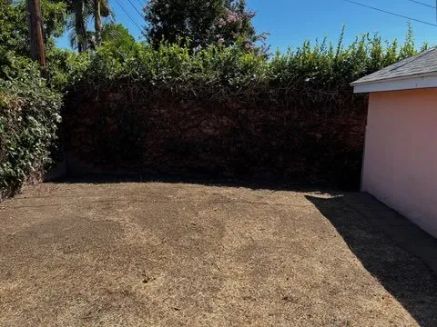 Expert yard maintenance in Stanton, CA - Spark Cleaning