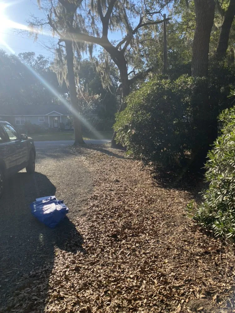 Affordable lawn care service for homes in Hardeeville, SC by Spark Lawn Care