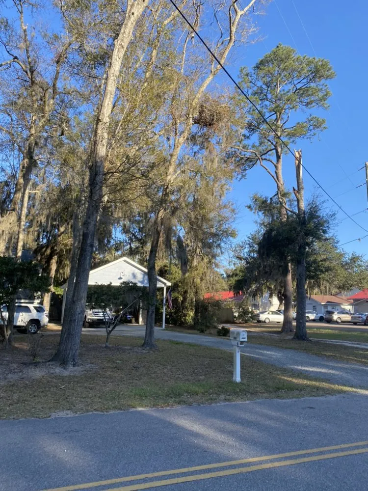 Professional landscape installation experts serving Hardeeville, SC - Spark Lawn Care