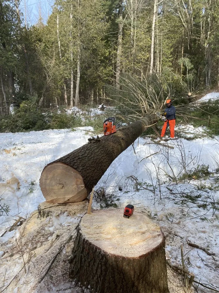 Trusted lawn mowing service in Colton, NY - Spark N Arc