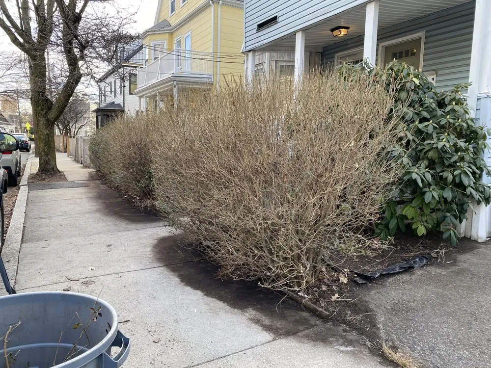 Expert yard cleanup service in Woburn, MA by Sparkes Classic Services
