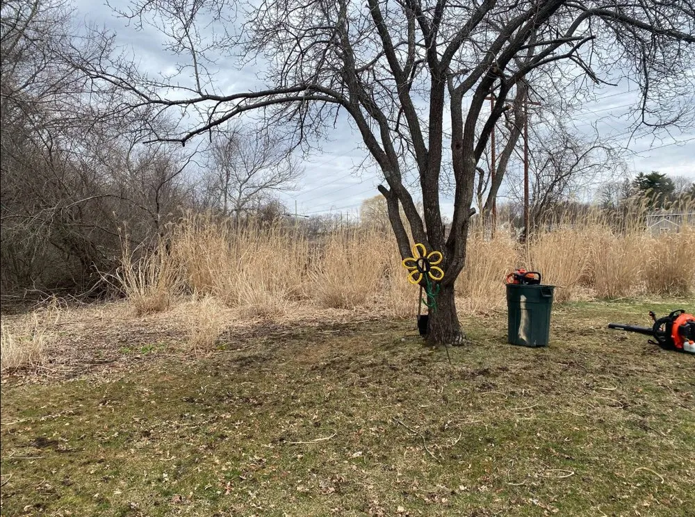 Reliable yard maintenance in Woburn, MA - Sparkes Classic Services