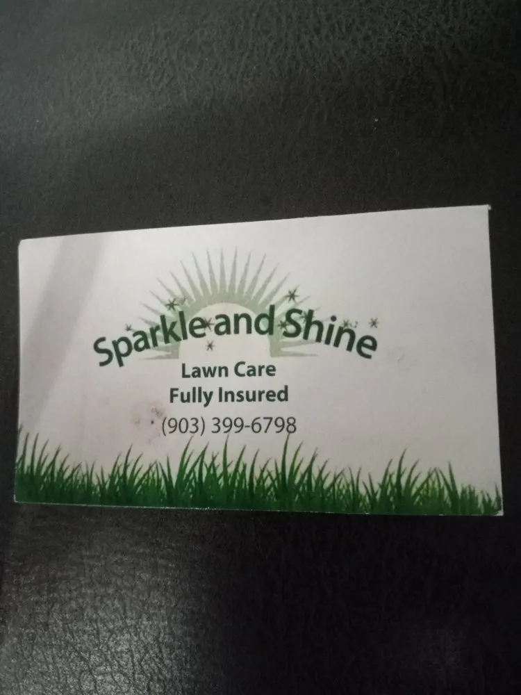 Local yard cleanup service in Longview, TX by Sparkle and Shine Lawncare services