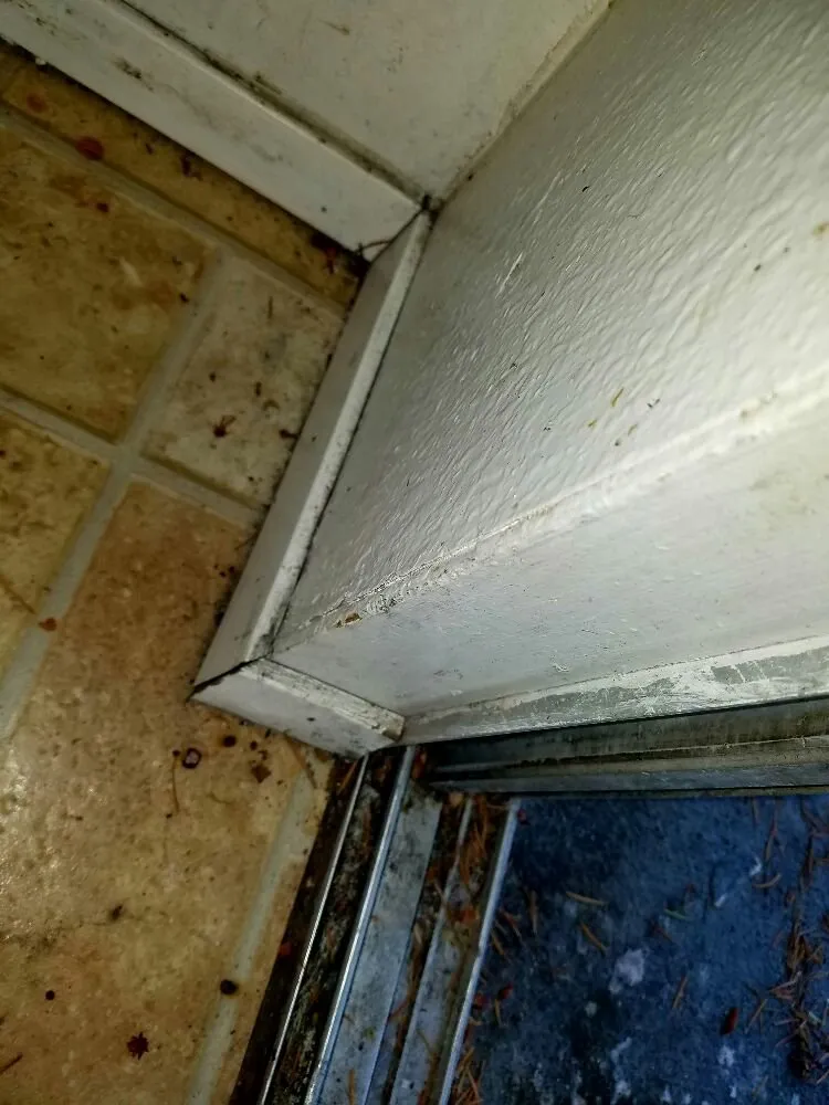 Affordable lawn care service near you across Oak Harbor, WA - Sparkle Clean