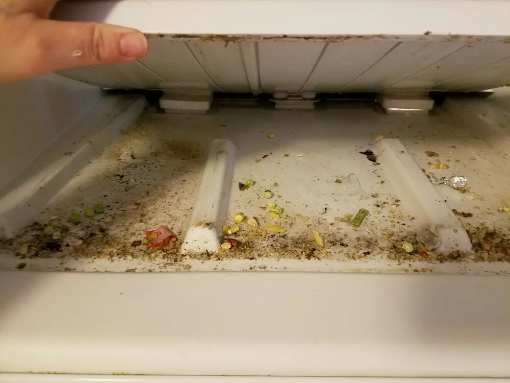 Top-rated landscape design for beautiful yards across Oak Harbor, WA - Sparkle Clean