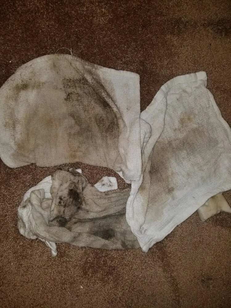 Custom landscaping services with custom design across Oak Harbor, WA - Sparkle Clean