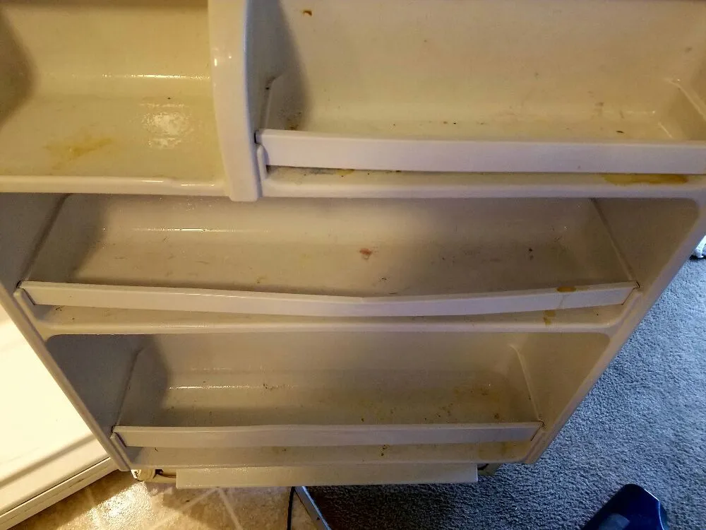 Affordable landscape design experts serving Oak Harbor, WA - Sparkle Clean