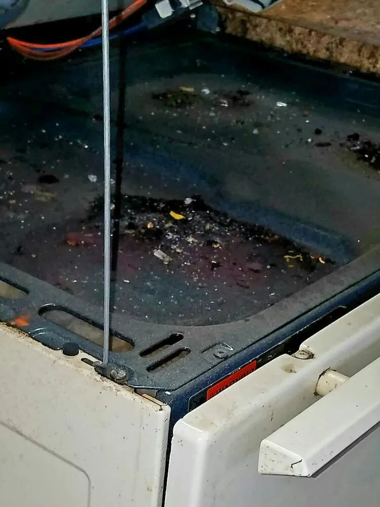 Trusted lawn mowing service experts serving Oak Harbor, WA - Sparkle Clean