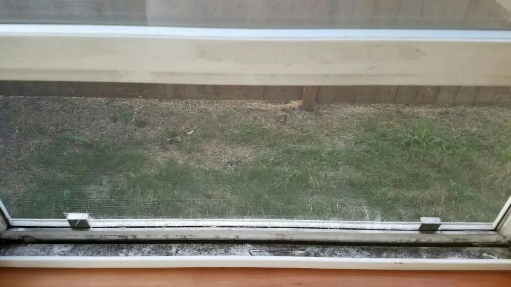 Expert yard maintenance experts serving Oak Harbor, WA - Sparkle Clean