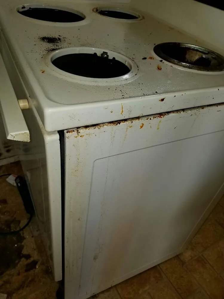 Custom landscaping services in Oak Harbor, WA - Sparkle Clean