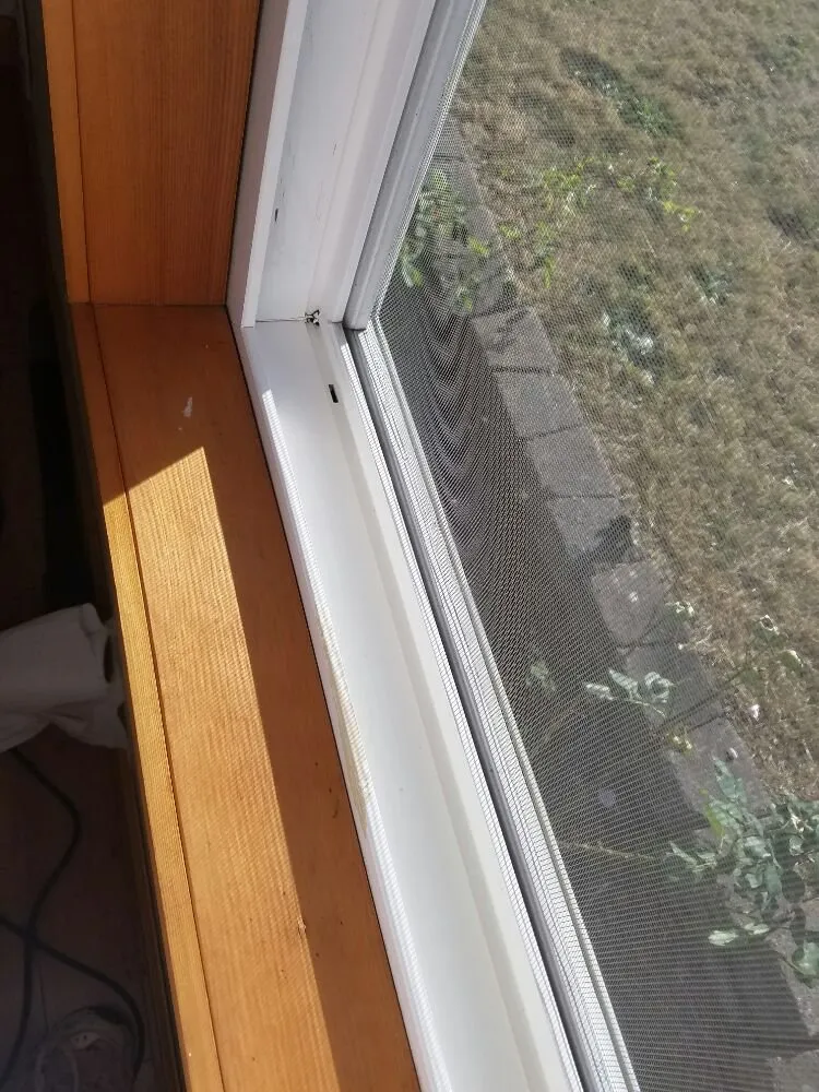 Affordable lawn mowing service in Oak Harbor, WA by Sparkle Clean