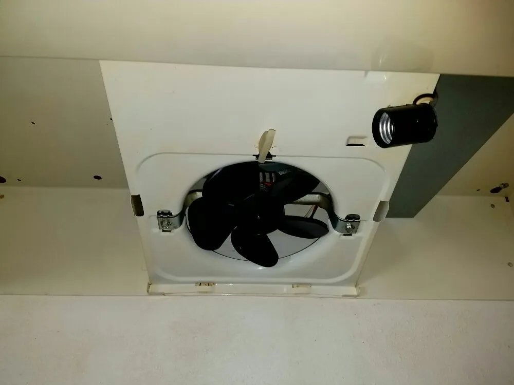 Professional yard cleanup service for outdoor upgrades across Oak Harbor, WA - Sparkle Clean