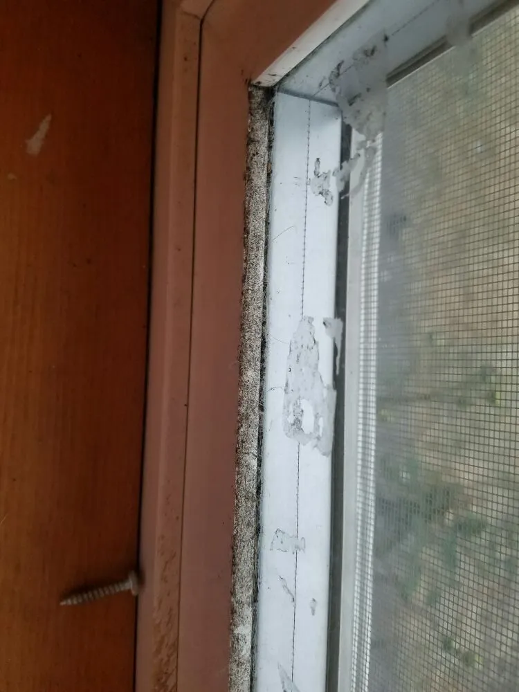 Custom residential landscaping for residential properties across Oak Harbor, WA - Sparkle Clean