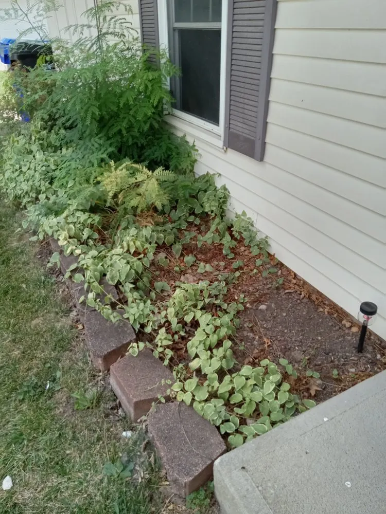 Reliable lawn mowing service experts serving Akron, OH - Sparkles Cleaning