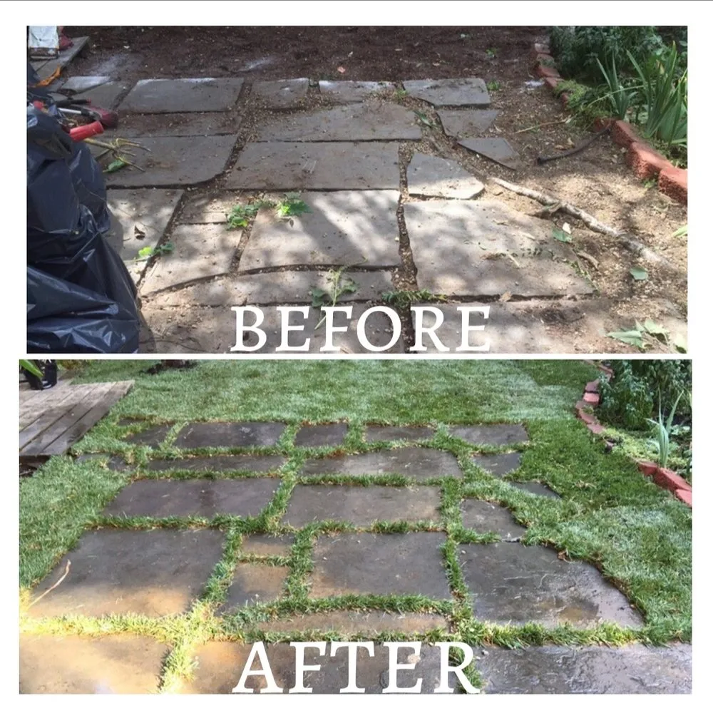 Top-rated lawn mowing service for year-round maintenance in Brooklyn, NY by Sparkles Home Improvement & Landscaping