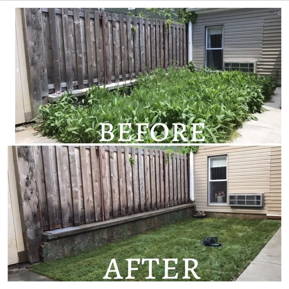 Top-rated yard maintenance in Brooklyn, NY by Sparkles Home Improvement & Landscaping
