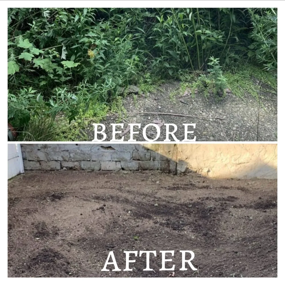 Professional lawn care service experts serving Brooklyn, NY - Sparkles Home Improvement & Landscaping