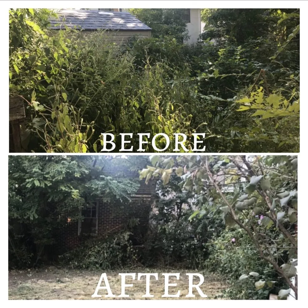 Professional lawn mowing service for year-round maintenance across Brooklyn, NY - Sparkles Home Improvement & Landscaping