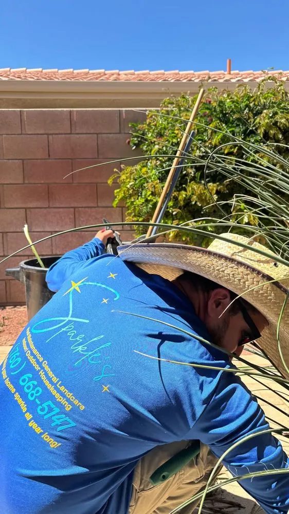 Trusted landscape design for year-round maintenance across Coachella, CA - Sparkles Services