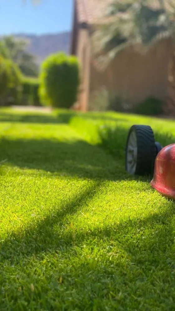 Custom garden landscaping with custom design across Coachella, CA - Sparkles Services