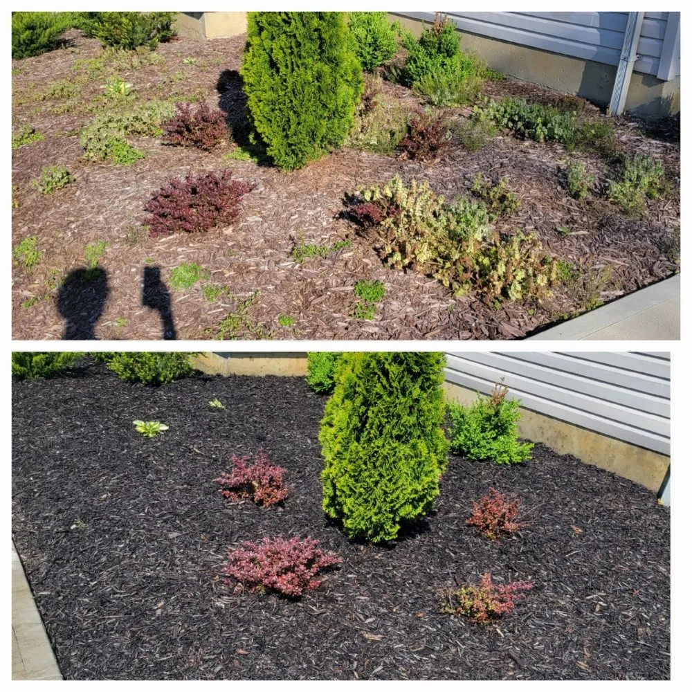 Custom garden landscaping experts serving Camden, OH - Sparkling Kleen