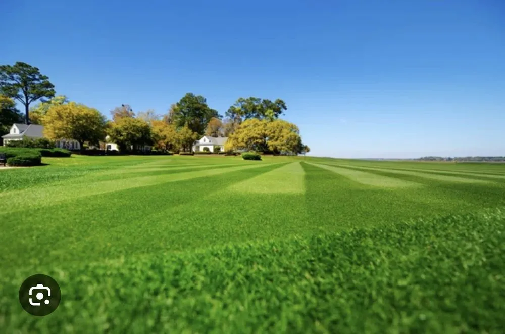 Custom garden landscaping with custom design across Danville, VA - Sparkling Lawns y Clean Michael