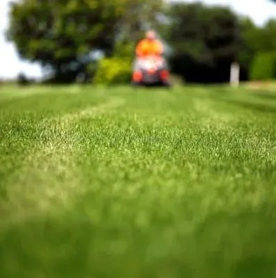 Reliable residential landscaping for beautiful yards in Grand Rapids, MI by Sparkling Spaces Cleaning