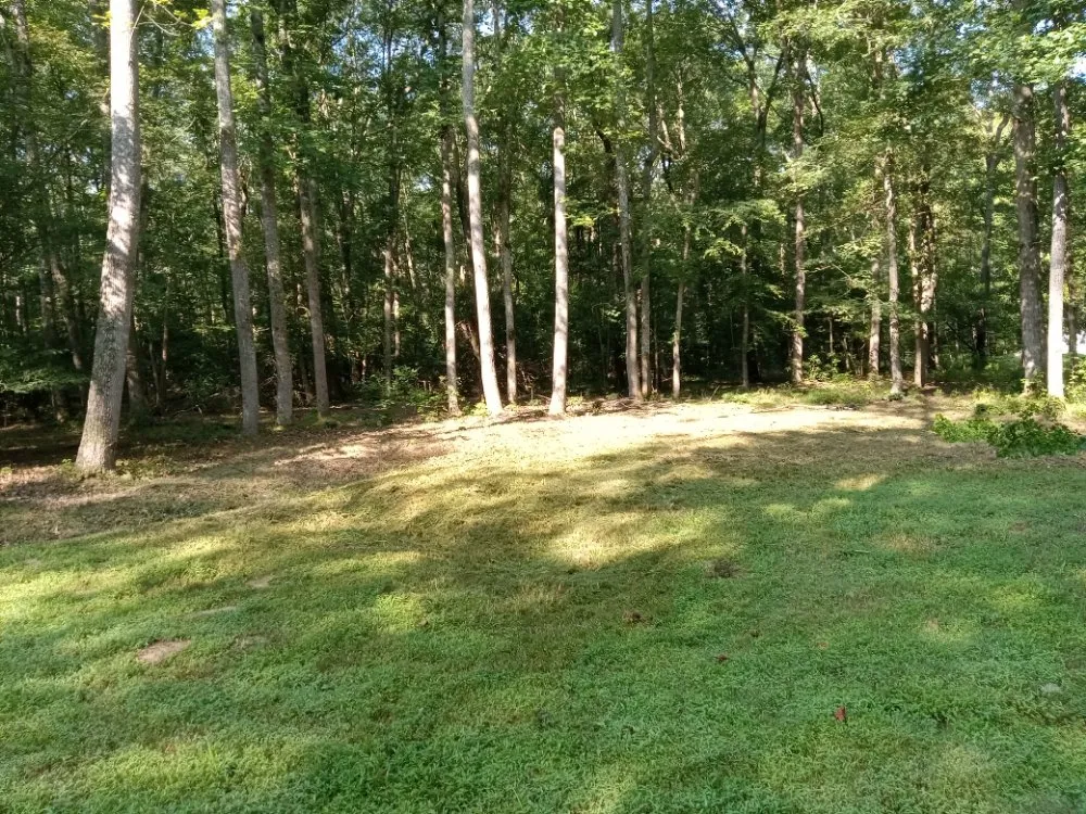 Professional lawn mowing service in Burgess, VA - Sparkplug's Lawn Care & Home Repairs