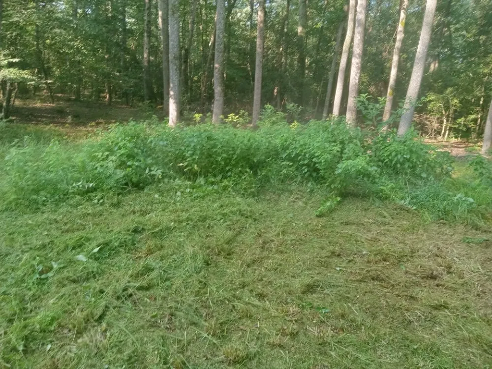 Custom landscaping services experts serving Burgess, VA - Sparkplug's Lawn Care & Home Repairs