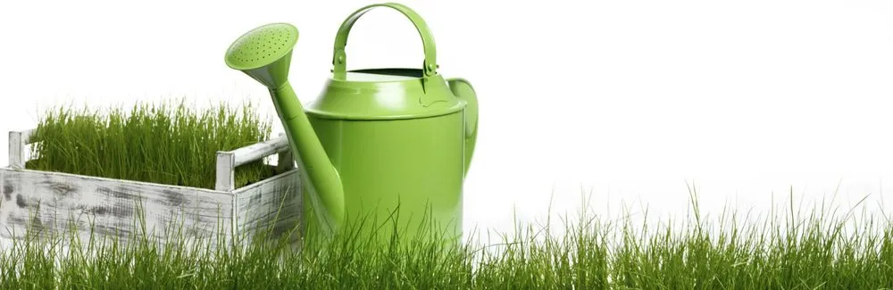 Reliable yard maintenance experts serving Plainfield, IN - Sparks & Sons Lawn Care