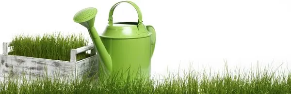 Sparks & Sons Lawn Care Logo