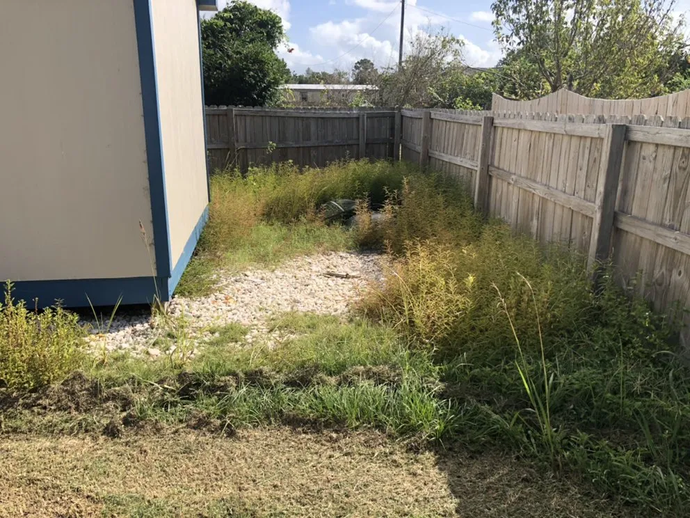 Top-rated residential landscaping near you in Jacksonville, NC by Sparky’s Lawn & Property Maintenance