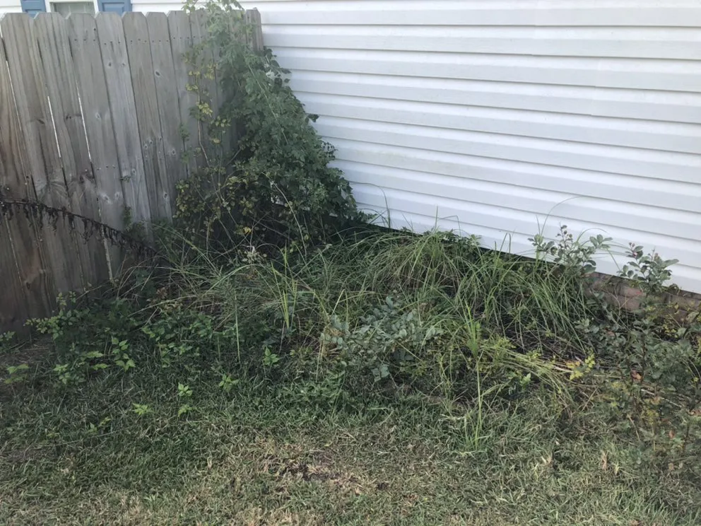 Affordable lawn care service in Jacksonville, NC - Sparky’s Lawn & Property Maintenance