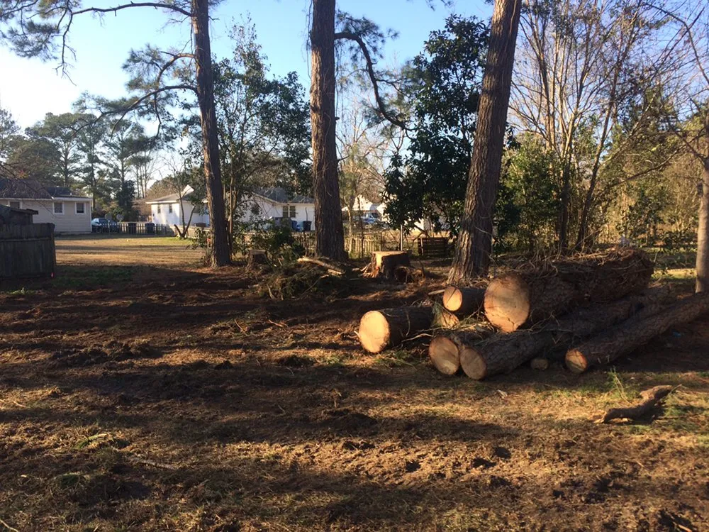 Reliable landscaping services for beautiful yards in Jacksonville, NC by Sparky’s Lawn & Property Maintenance