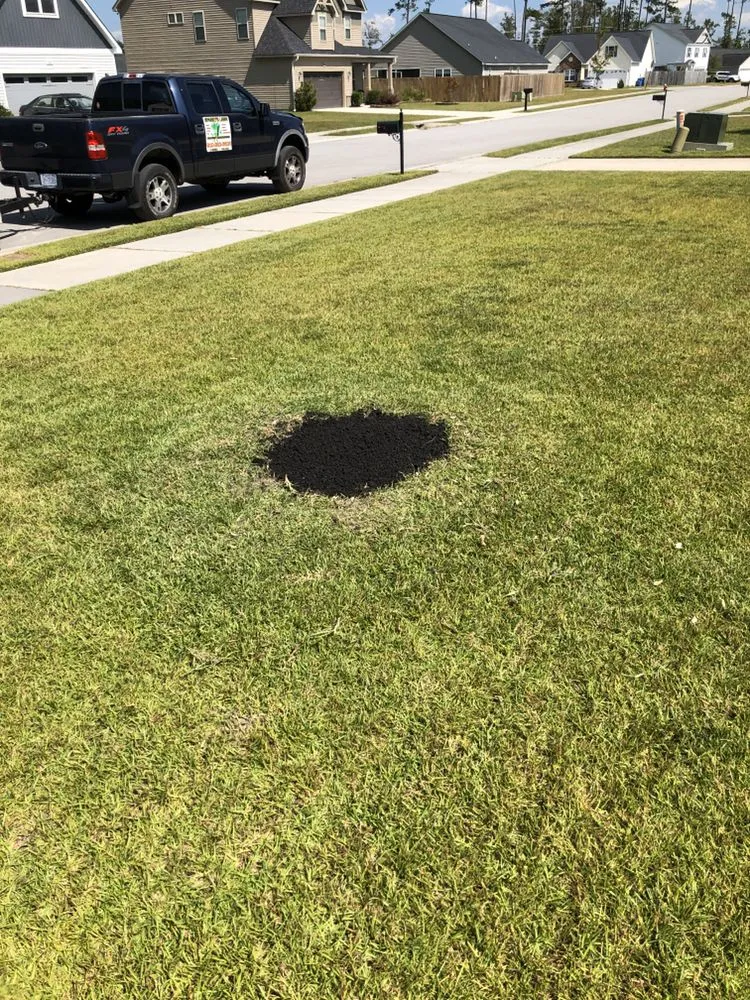 Affordable yard cleanup service for homes in Jacksonville, NC by Sparky’s Lawn & Property Maintenance