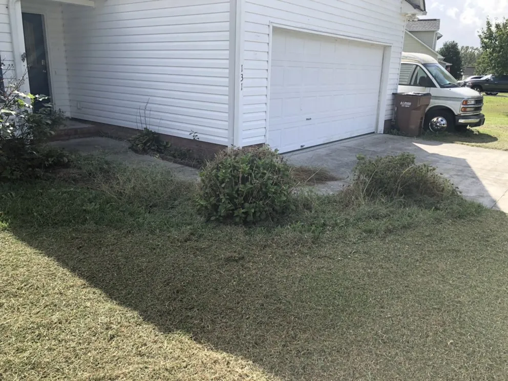 Expert lawn care service for residential properties in Jacksonville, NC by Sparky’s Lawn & Property Maintenance