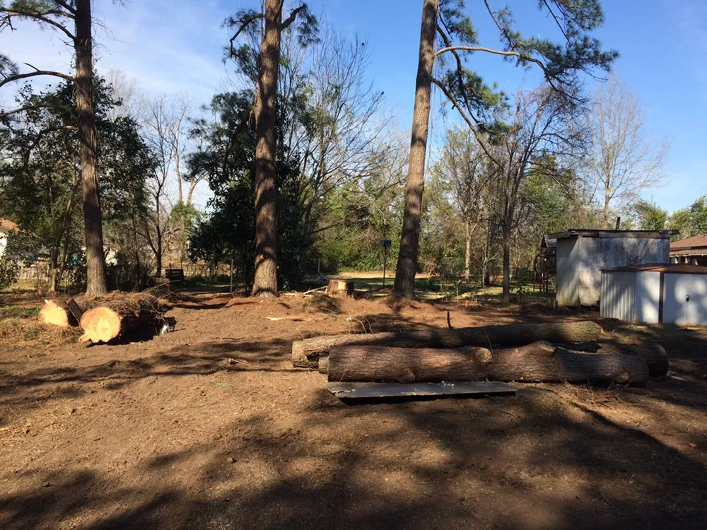 Local lawn care service in Jacksonville, NC - Sparky’s Lawn & Property Maintenance