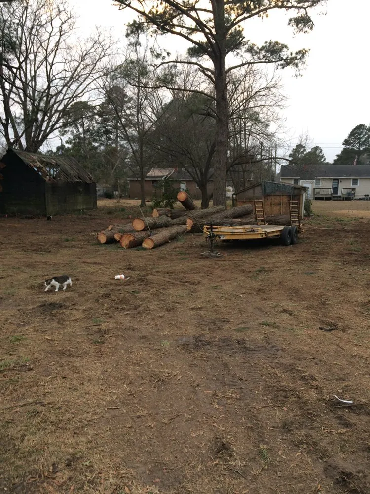 Affordable lawn care service for year-round maintenance across Jacksonville, NC - Sparky’s Lawn & Property Maintenance