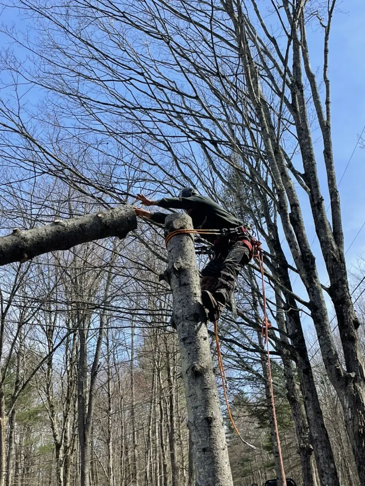 Expert garden landscaping experts serving Amherst, MA - Sparkys Services