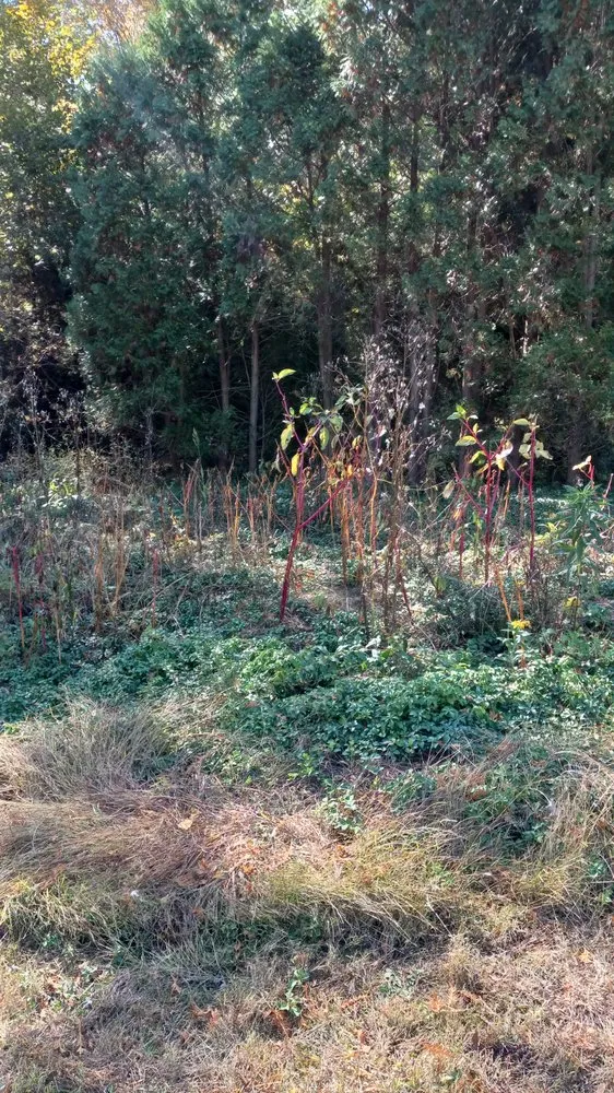 Trusted landscape design in Sunderland, MA - Sparkys Services