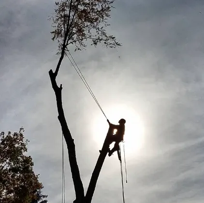 Expert landscape design experts serving Sunderland, MA - Sparkys Services