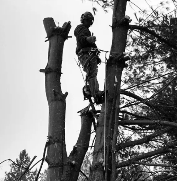 Trusted landscape installation in Sunderland, MA by Sparkys Services