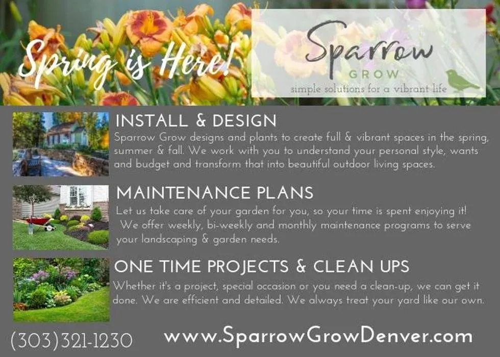 Affordable landscape installation for homes in Denver, CO by Sparrow Grow